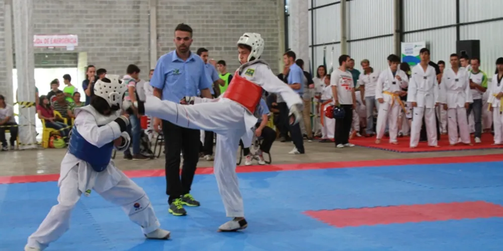 Imagem ilustrativa da imagem Guarapuava sedia Torneio Regional de Taekwondo