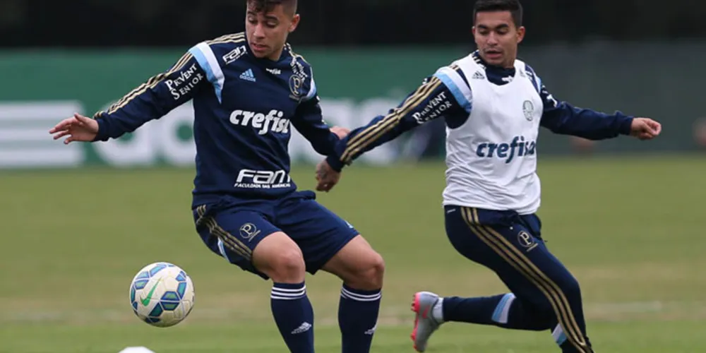 Imagem ilustrativa da imagem Palmeiras treina em campo reduzido