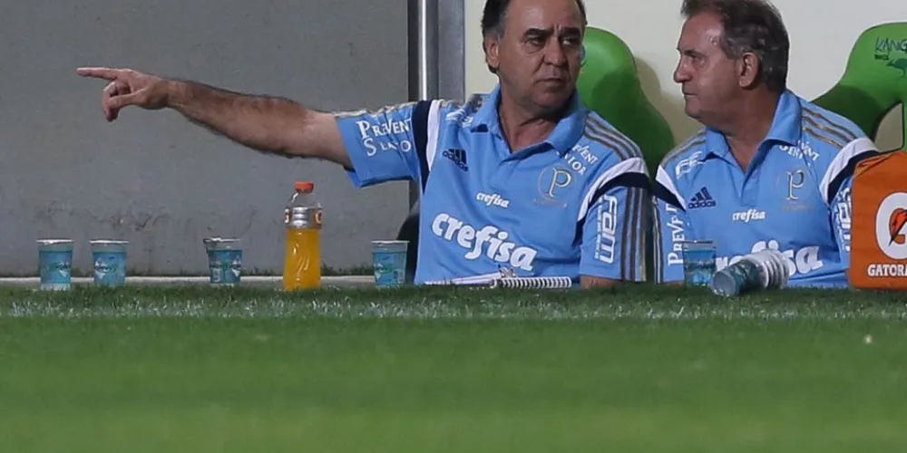 Imagem ilustrativa da imagem Marcelo Oliveira avalia revés contra Atlético-MG e cobra evolução do Palmeiras