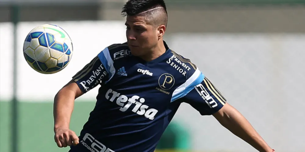 Imagem ilustrativa da imagem Palmeiras tem 23 relacionados para duelo com Goiás