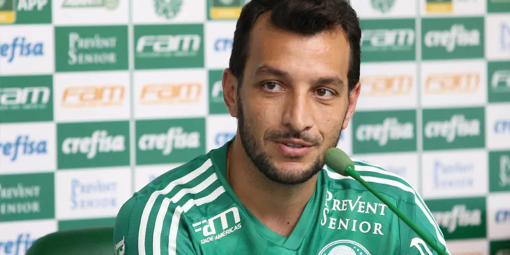 Imagem ilustrativa da imagem Edu Dracena chega ao Palmeiras para disputar titularidade