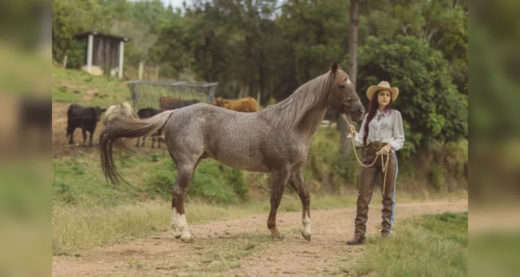 O 402Ranch, centro de criação de cavalos Quarto de Milha é um vibrante centro equestre.