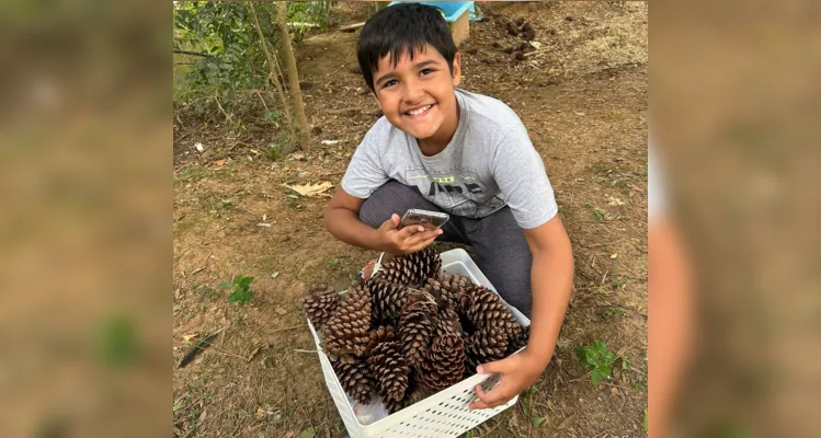 Em alguns casos, alunos podem plantar mudas.