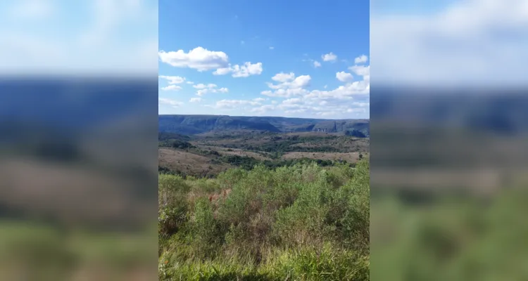 Confira as fotos do passeio e dos trabalhos realizados pelos alunos.