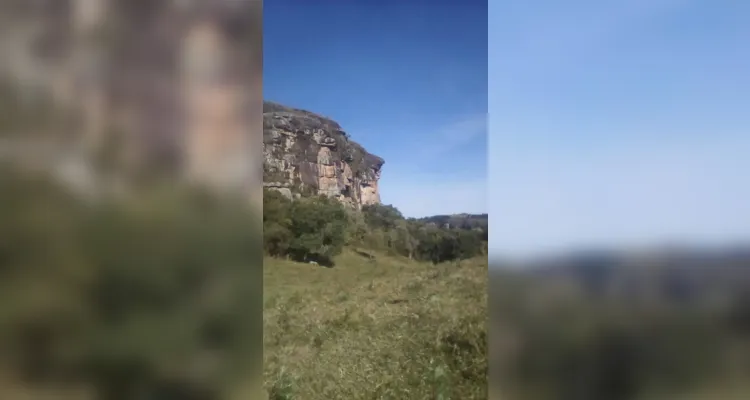 Confira as fotos do passeio e dos trabalhos realizados pelos alunos.