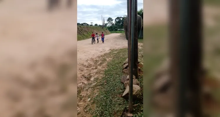 Educandos realizaram ações dentro e fora da sala de aula.