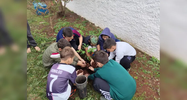 Confira como foi o trabalho ambiental dos educandos.