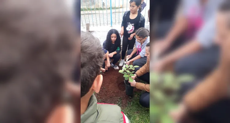 Confira como foi o trabalho ambiental dos educandos.