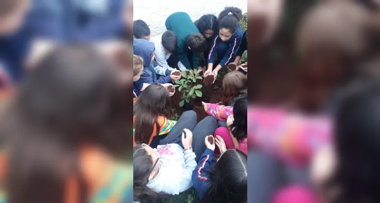 Confira como foi o trabalho ambiental dos educandos.