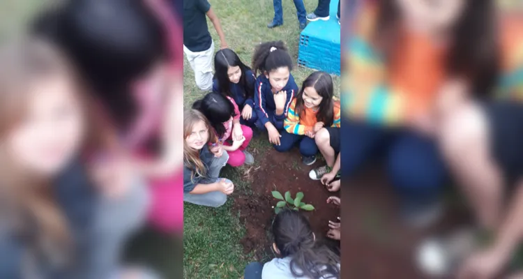 Confira como foi o trabalho ambiental dos educandos.