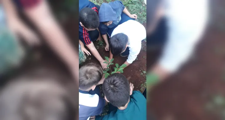 Confira como foi o trabalho ambiental dos educandos.