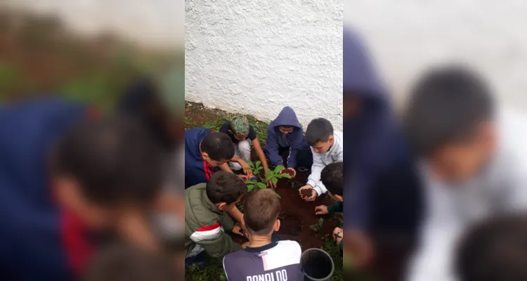 Confira como foi o trabalho ambiental dos educandos.