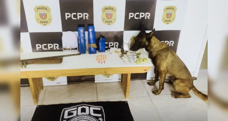 Operação teve participação do K-9 Bolt, cão treinado para ações que envolvem tráfico de drogas.
