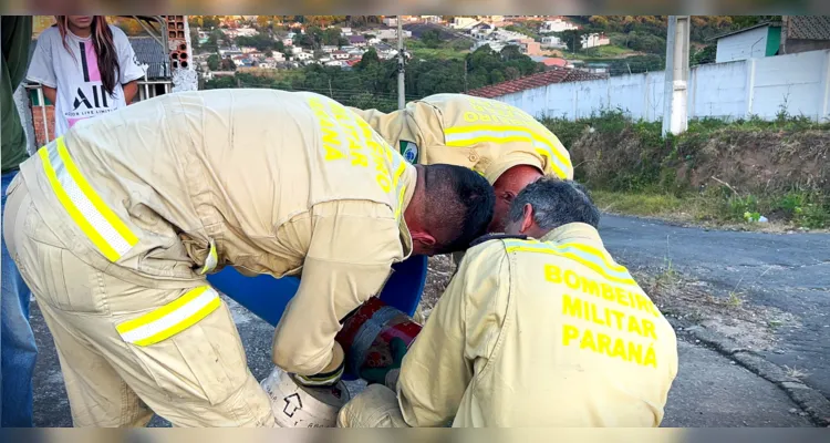 Ocorrência aconteceu na rua Euzébio da Motta.