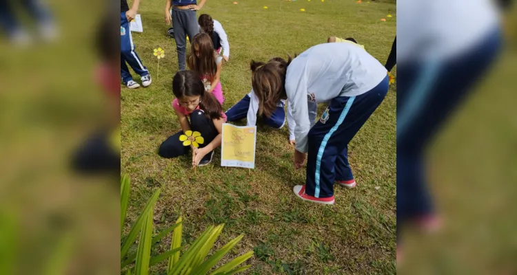 Confira os registros do amplo trabalho realizado pelos estudantes.