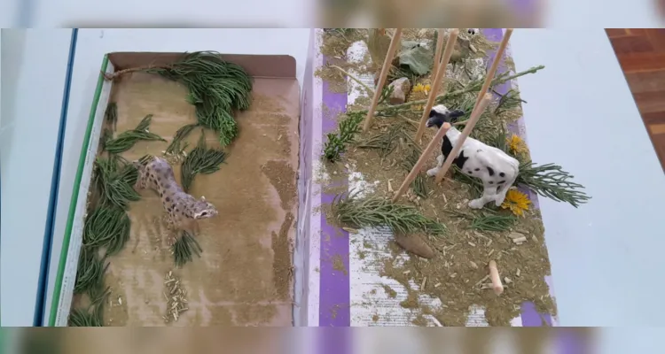 Uma das atividades realizadas pela turma consistiu na elaboração de maquetes sobre as temáticas trabalhadas.