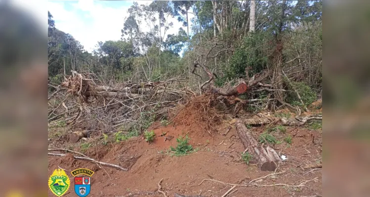 Homem é autuado em R$ 39 mil por danos ambientais no PR