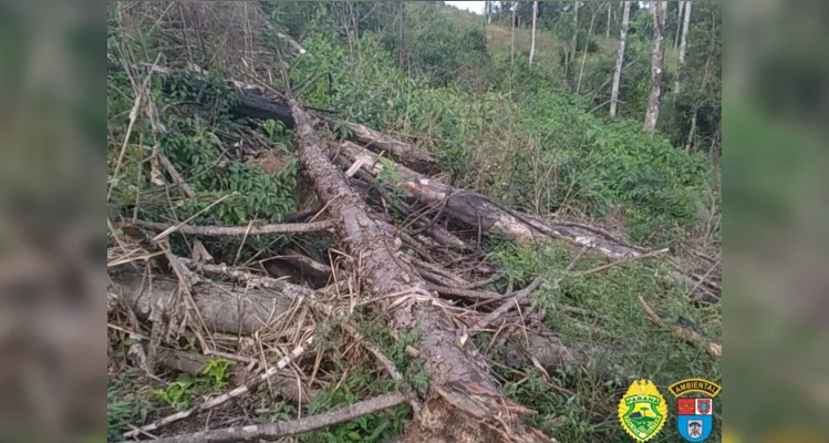 Homem é multado em R$ 148 mil por danos ambientais no PR