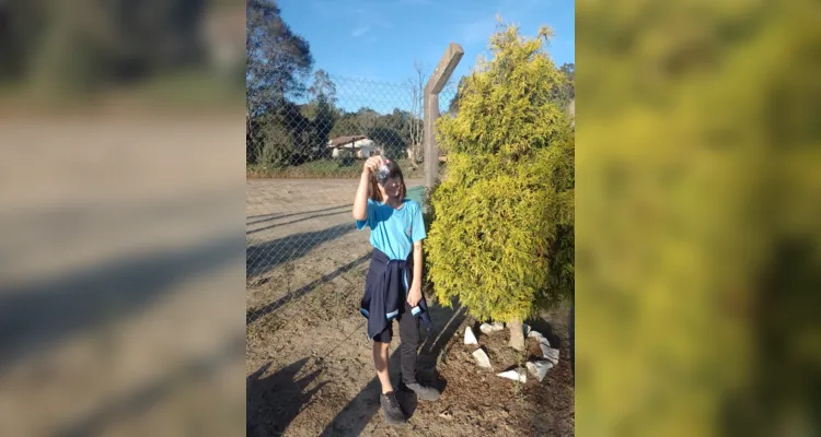 Uma das atividades realizadas pela turma envolveu uma caça a elementos presentes na natureza, como folhas e flores.