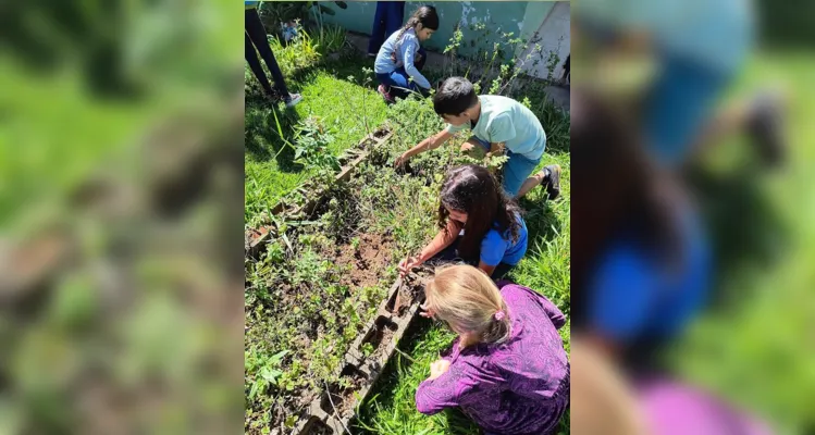 A turma também realizou o plantio de mudas na horta escolar.