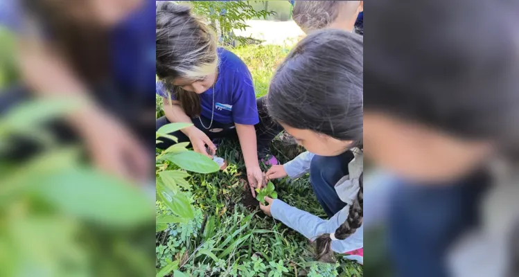 A turma também realizou o plantio de mudas na horta escolar.