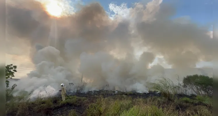 Bombeiros combatem incêndio de grande proporção em PG