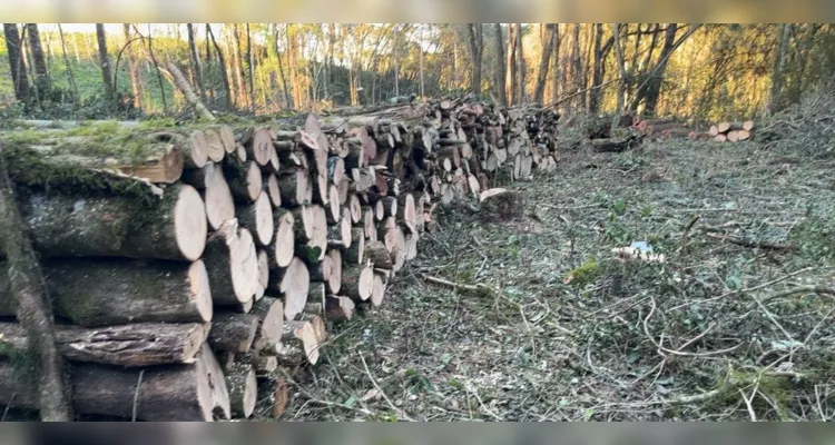 Homem é multado em mais de R$ 80 mil por danos ambientais