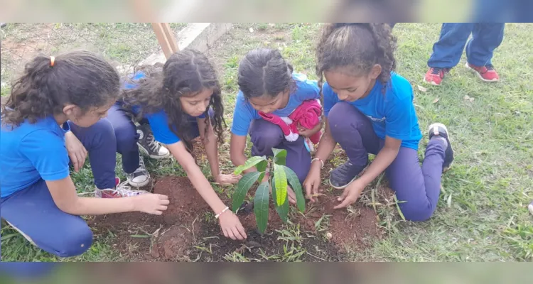 Como uma das principais atividades da proposta, a turma participou da revitalização do jardim da escola.