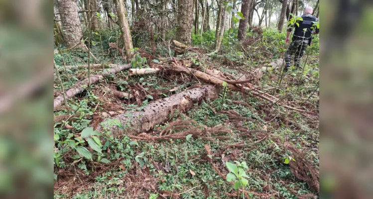 Proprietário é multado em mais de R$ 30 mil por danos ambientais