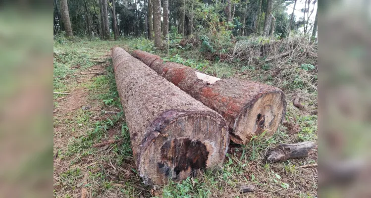 Proprietário é multado em mais de R$ 30 mil por danos ambientais