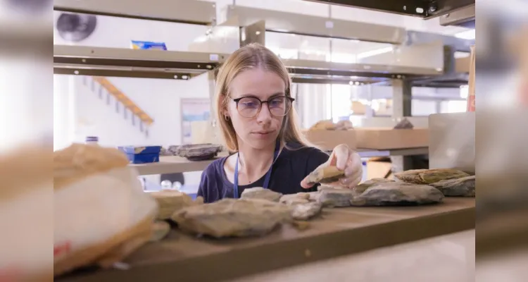 Saber identificar o registro fóssil é apenas uma das etapas da missão dos pesquisadores.