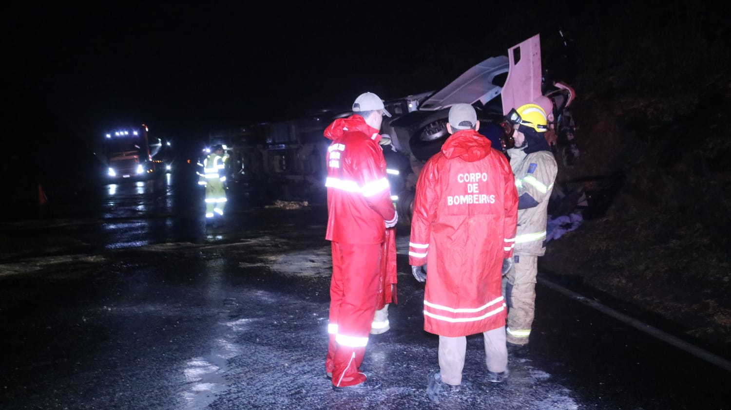 Motorista de caminhão que transportava maçãs morre em acidente, na BR-373, em Ipiranga |