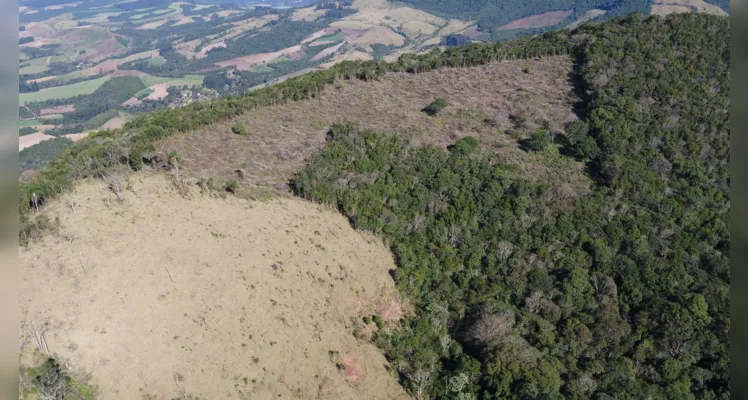 Local fica dentro da APA Serra da Esperança.