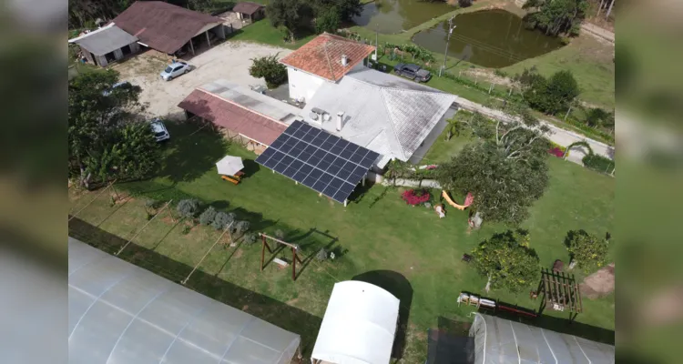 Espaço em Araucária utiliza energia solar para a produção de morango.