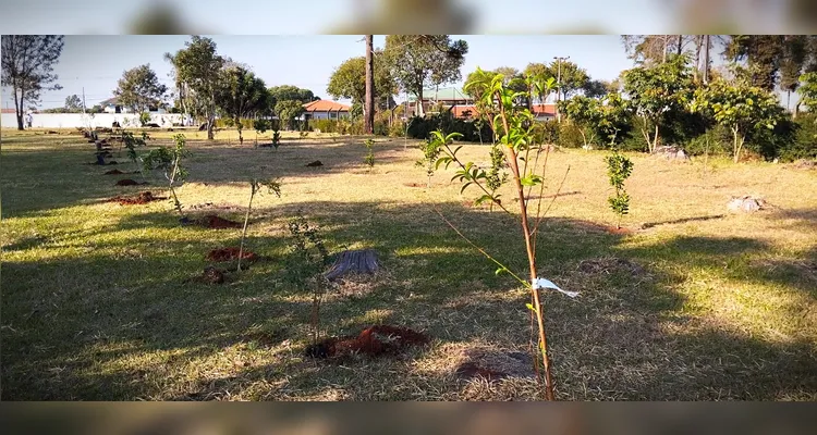 Expo&Flor plantou mais de 200 mudas árvores em Ponta Grossa