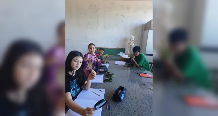 Veja os registros da ampla exploração realizada pelos estudantes.