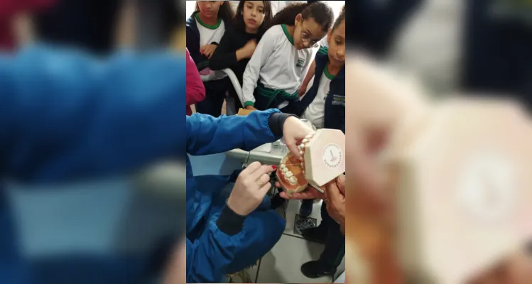 Confira como foram os trabalhos em sala de aula e durante a saída a campo.