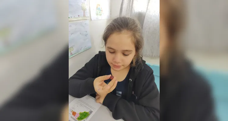 Veja como foi o trabalho e a 'roda de chimarrão' em sala de aula.