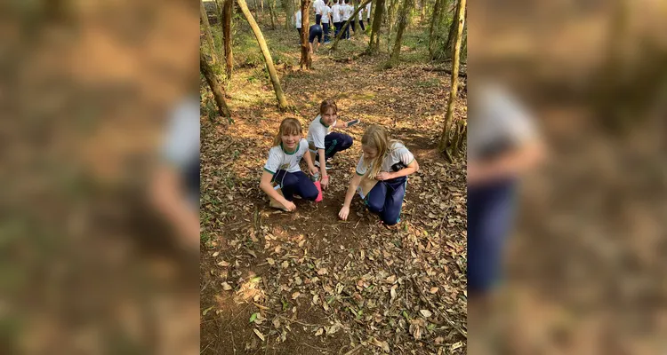 Educandos puderam imergir em importante conteúdo ambiental.