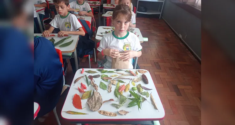 Trabalho teve grandes ações dentro e fora da sala de aula.