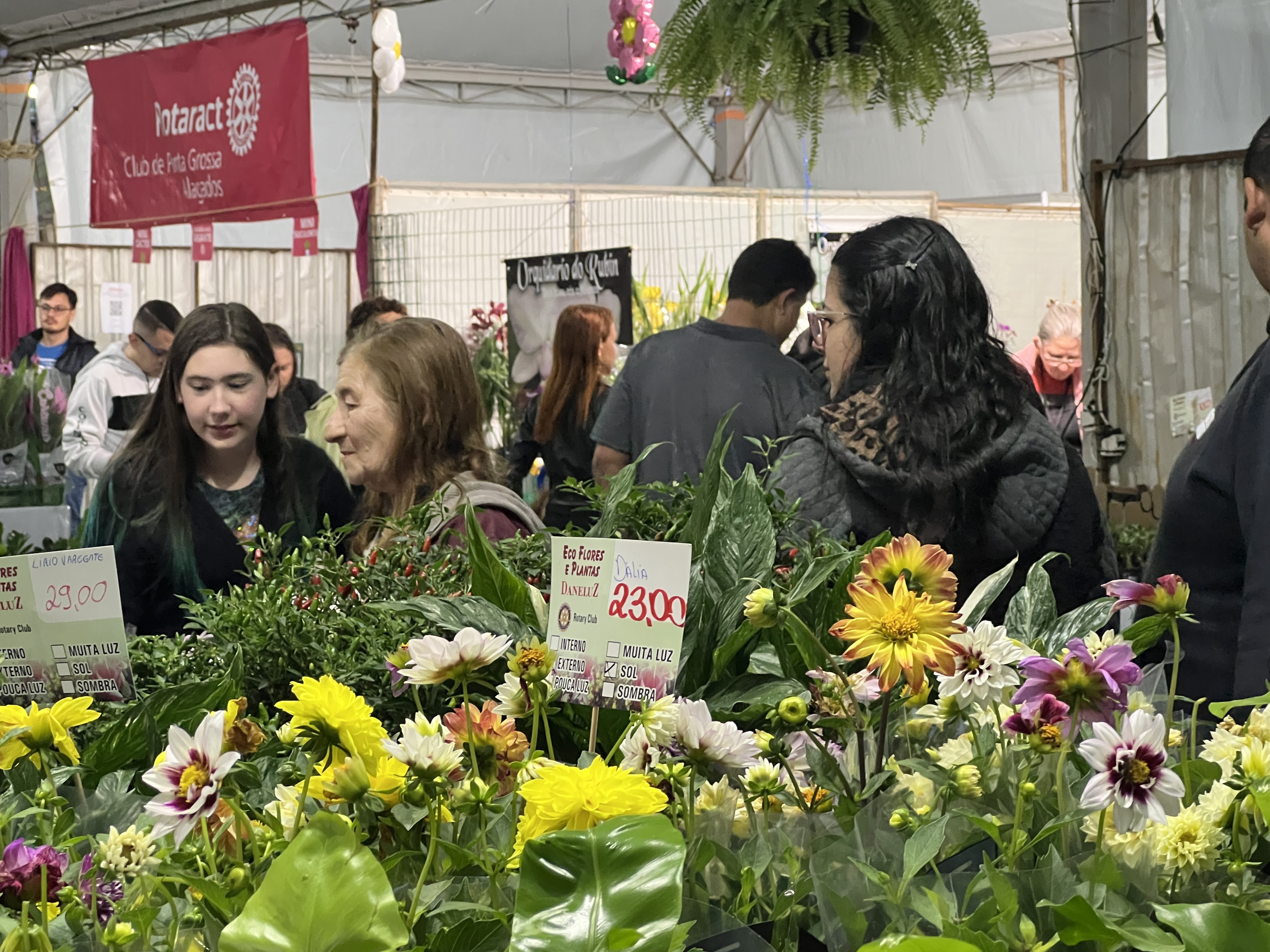 Nesta edição da Expo&Flor os projetos aprovados e selecionados são os 11 primeiros.