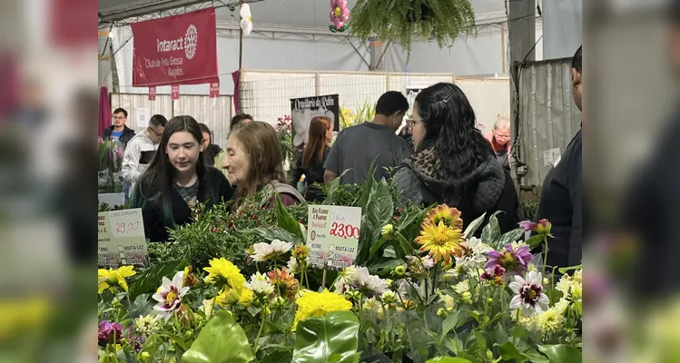 Nesta edição da Expo&Flor os projetos aprovados e selecionados são os 11 primeiros.