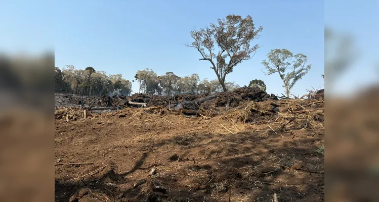 Proprietário da fazenda foi multado em R$ 55 mil por danos ambientais.