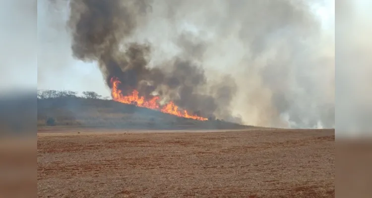 Governo lança pacote de ações aos produtores rurais afetados pelos incêndios em São Paulo.