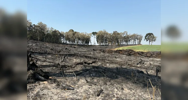 Corpo de Bombeiros foi acionado para controlar o incêndio.