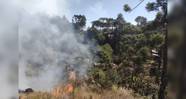 Ribeirão Preto é uma das regiões mais afetadas pelos incêndios em São Paulo.