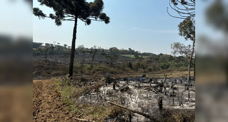 Proprietário da fazenda foi multado em R$ 55 mil por danos ambientais.