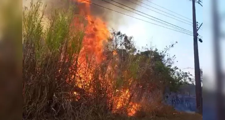 Incêndio queima vegetação e chamas atingem postes de energia no Park Way, no Distrito Federal.