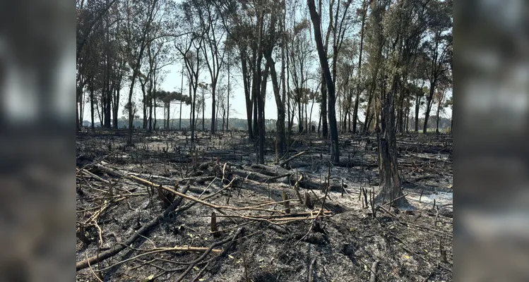 Corpo de Bombeiros foi acionado para controlar o incêndio.