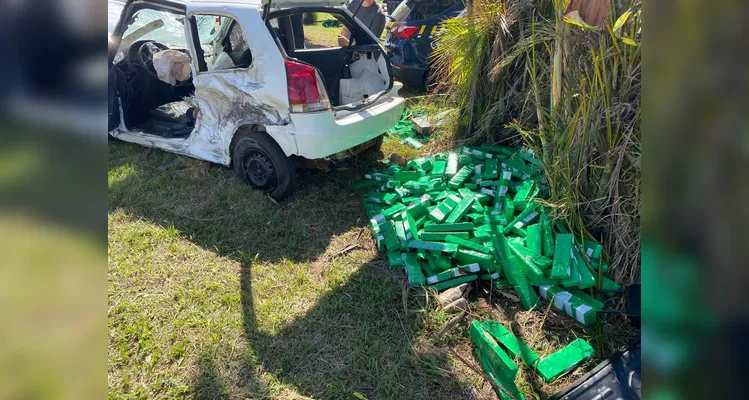 Palio estava carregado com tabletes de maconha.